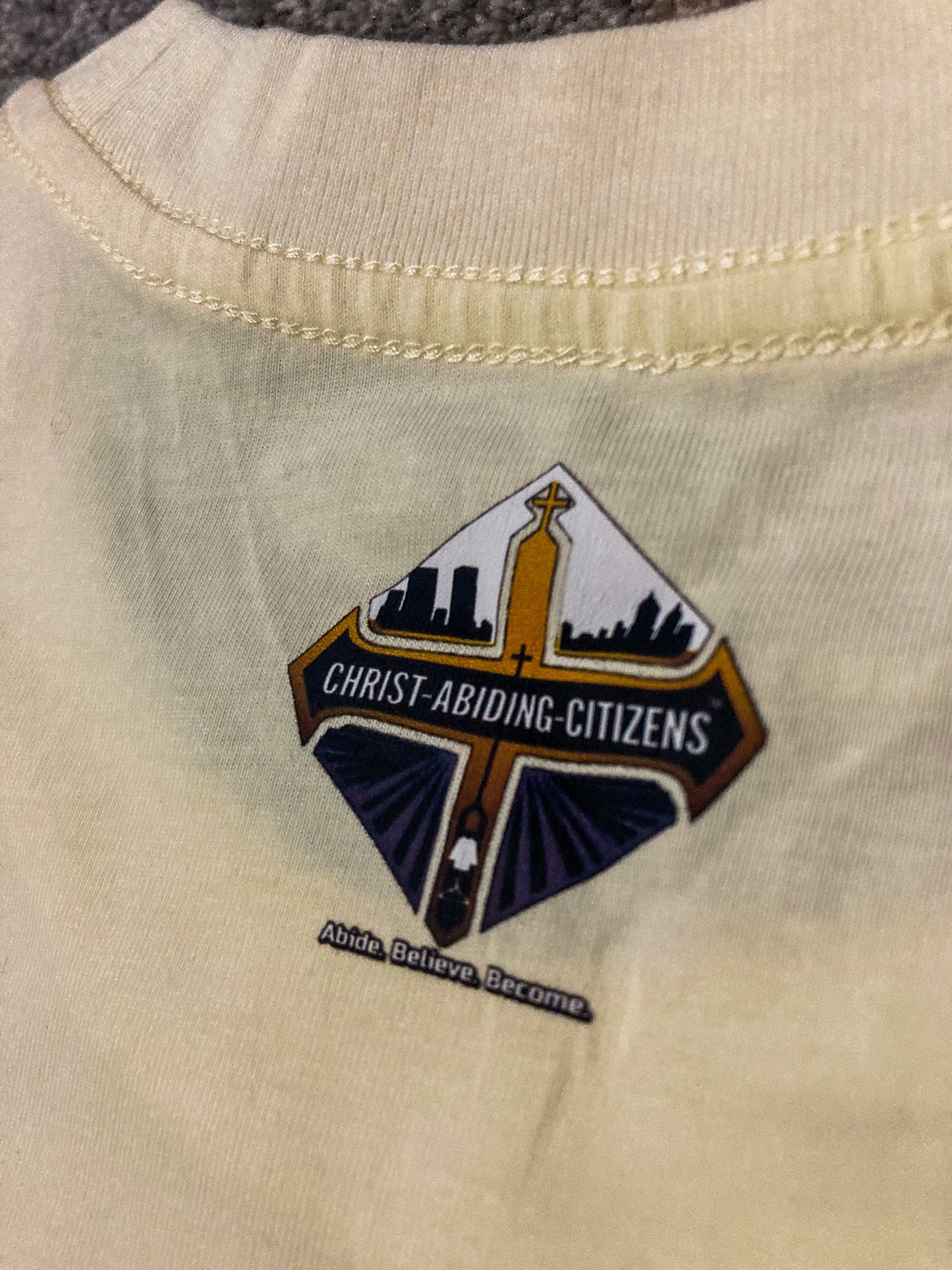 2 Timothy 2:22 | S/C Graphic T-Shirt